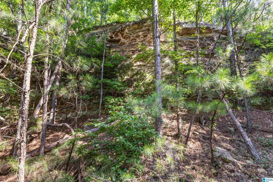 6 Acres OLD JACKSONVILLE HIGHWAY, Anniston, AL 36206 - #2