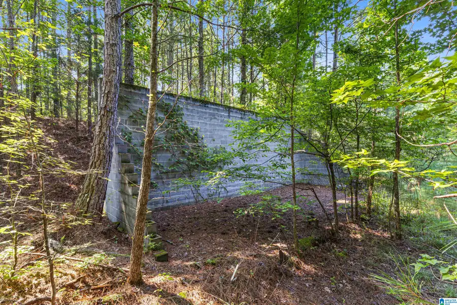 6 Acres OLD JACKSONVILLE HIGHWAY, Anniston, AL 36206 - #3