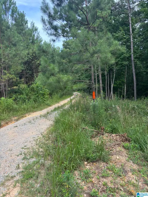 00 UNION T ROAD, Talladega, AL 35160
