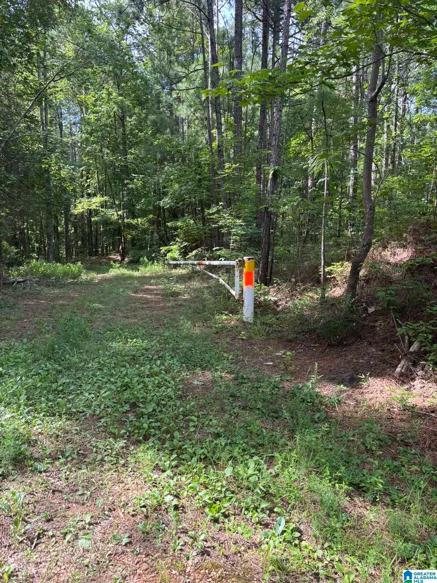 00 UNION T ROAD, Talladega, AL 35160 - #2