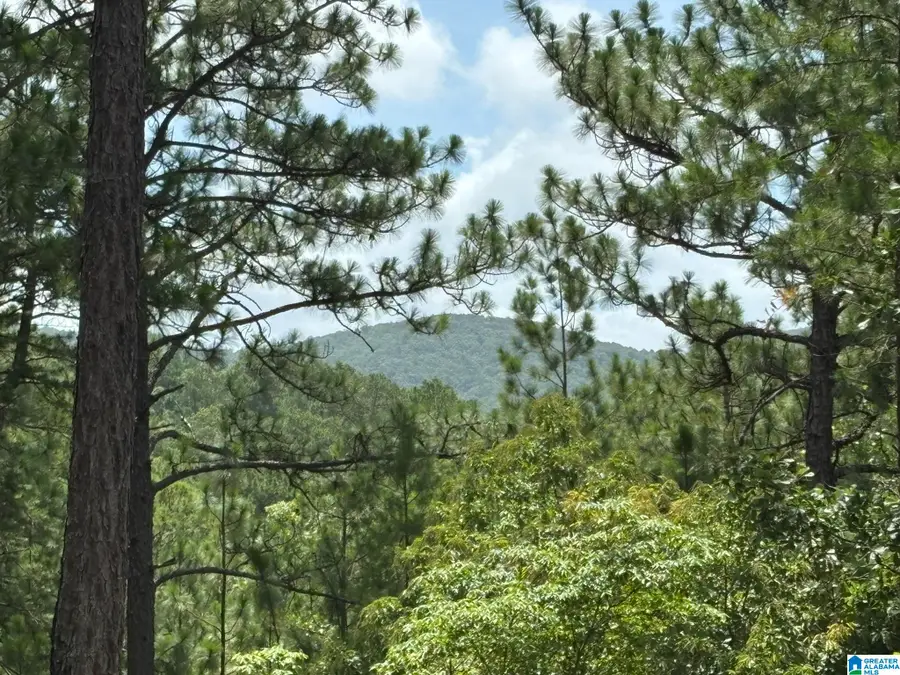 00 UNION T ROAD, Talladega, AL 35160 - #3