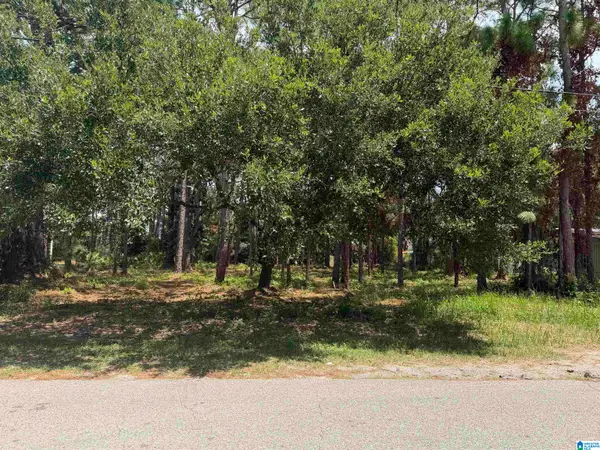 118 FORNEY JOHNSON DRIVE, Dauphin island, AL 36528