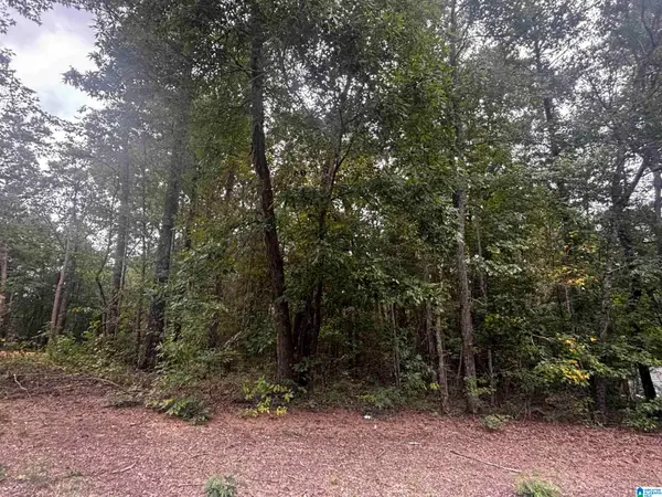 106 WILSON GLEN DRIVE, Wilsonville, AL 35186
