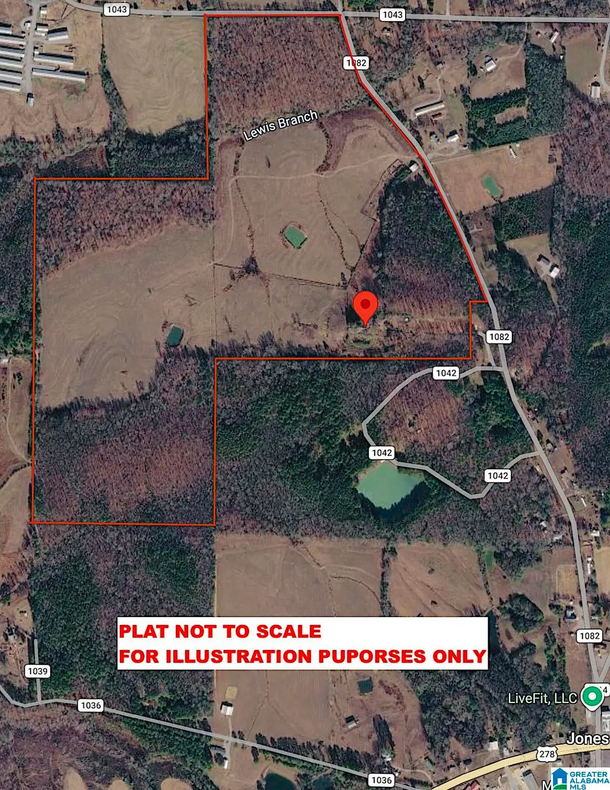 215 COUNTY ROAD 1041, Cullman, AL 35057 - #1