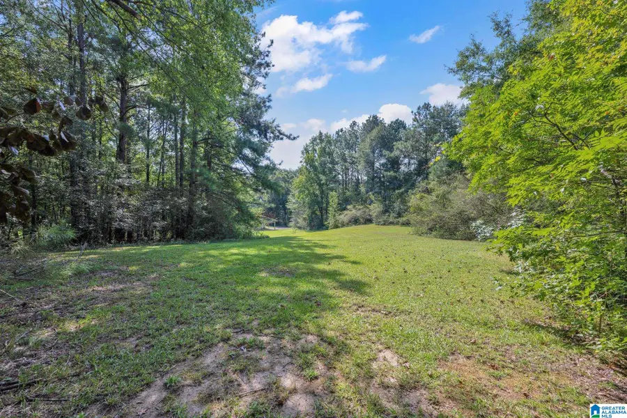 DEVON DRIVE, Jasper, AL 35501 - #2