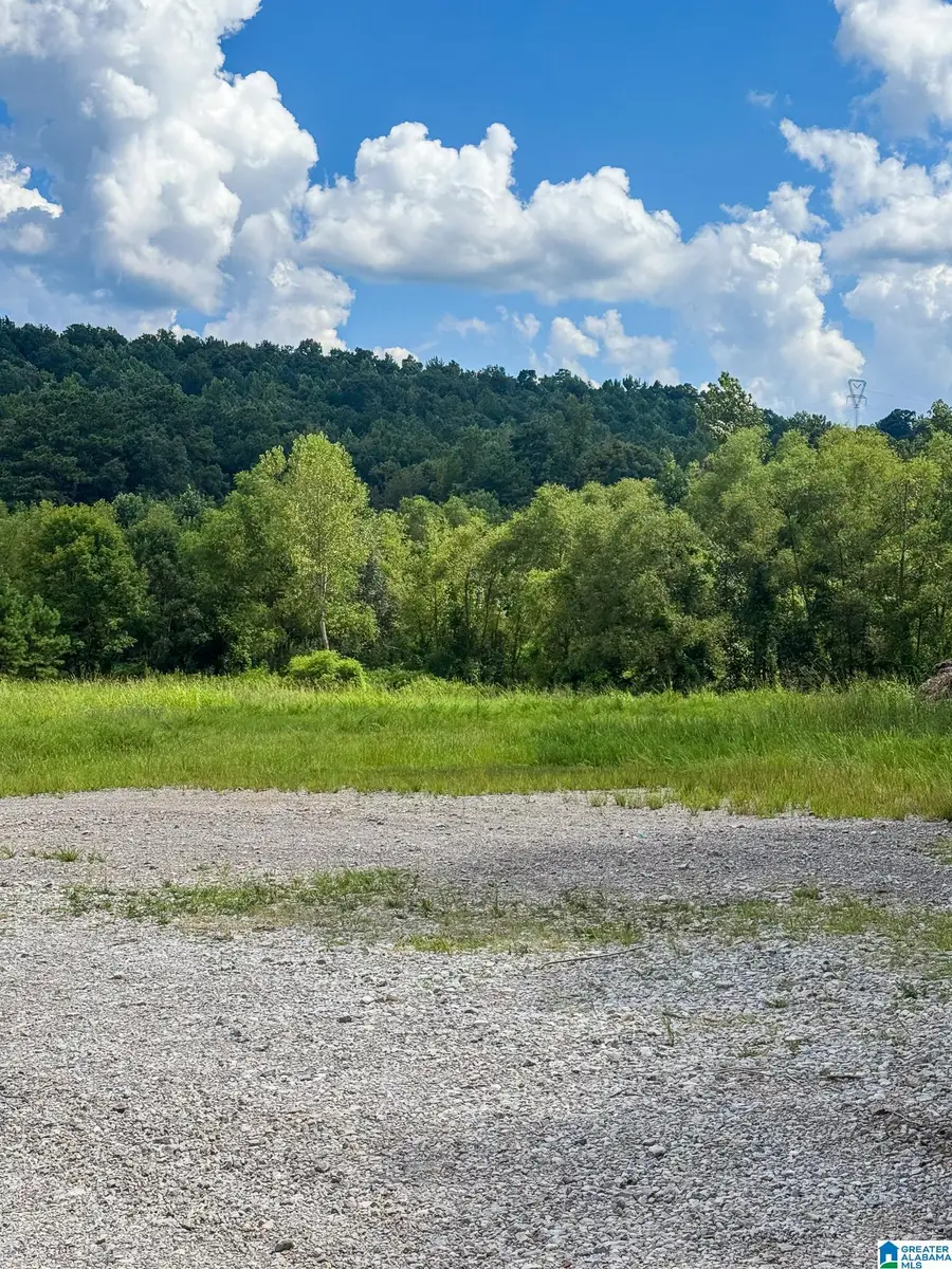 2561 HARDY ACRES ROAD, Birmingham, AL 35210 - #2