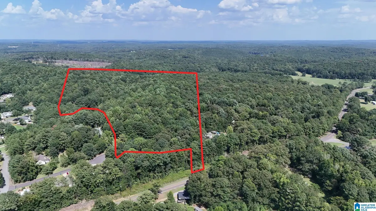 0 CLEMENTS ROAD, Cottondale, AL 35453 - #1