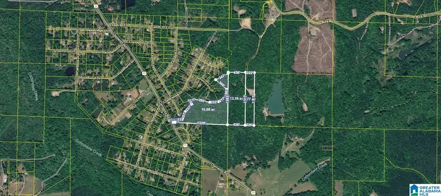0 CLEMENTS ROAD, Cottondale, AL 35453 - #3