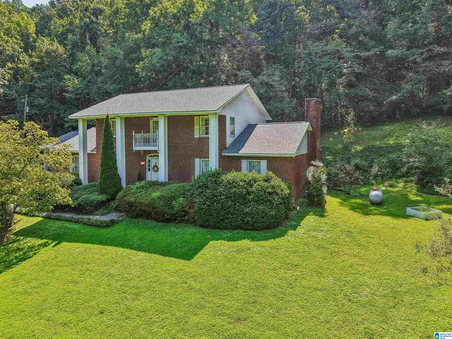 5445 OLD SPRINGVILLE ROAD, Pinson, AL 35126 - #3