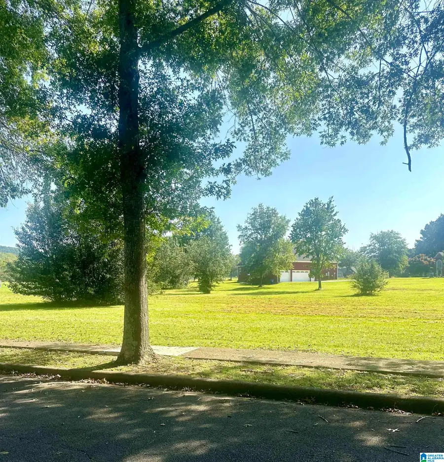 7 GRANDVIEW DRIVE, Glencoe, AL 35905 - #3