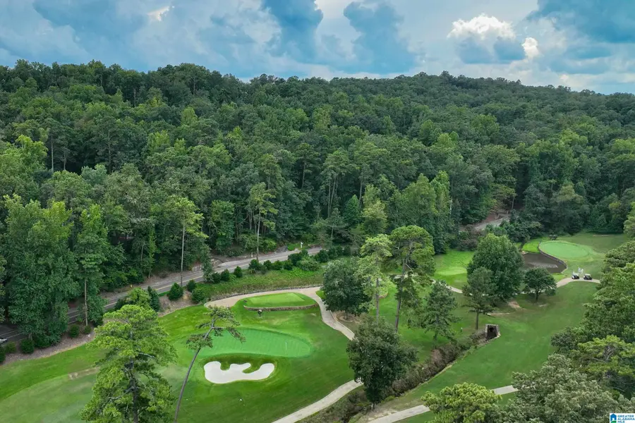3329 CHEROKEE ROAD, Mountain Brook, AL 35223 - #2