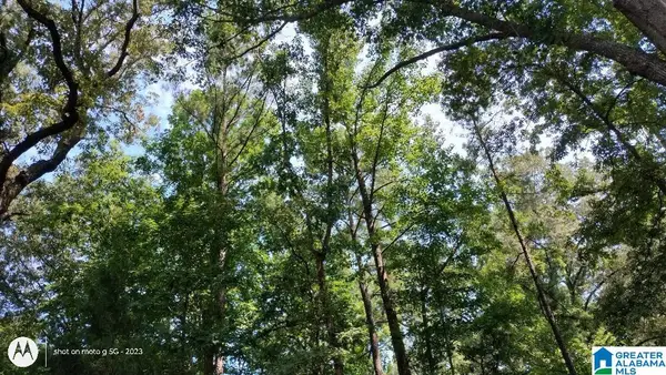 LAKE VIEW DRIVE, Lakeview, AL 35111