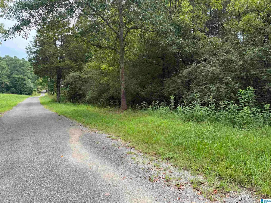307 GREEN ROAD, Oneonta, AL 35121 - #3