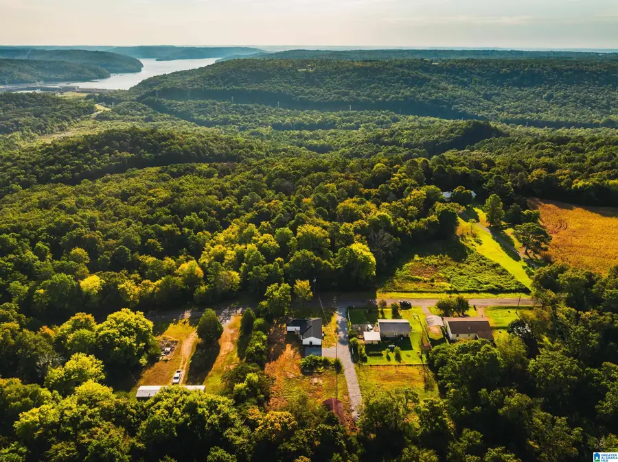 1591 SNOW POINT ROAD, Guntersville, AL 35976 - #3
