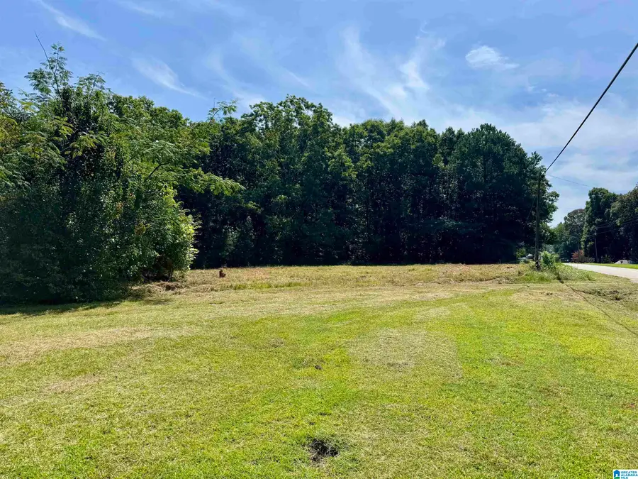 775 COUNTY ROAD 64, Woodland, AL 36280 - #2