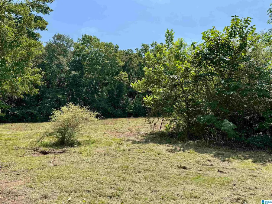 775 COUNTY ROAD 64, Woodland, AL 36280 - #3