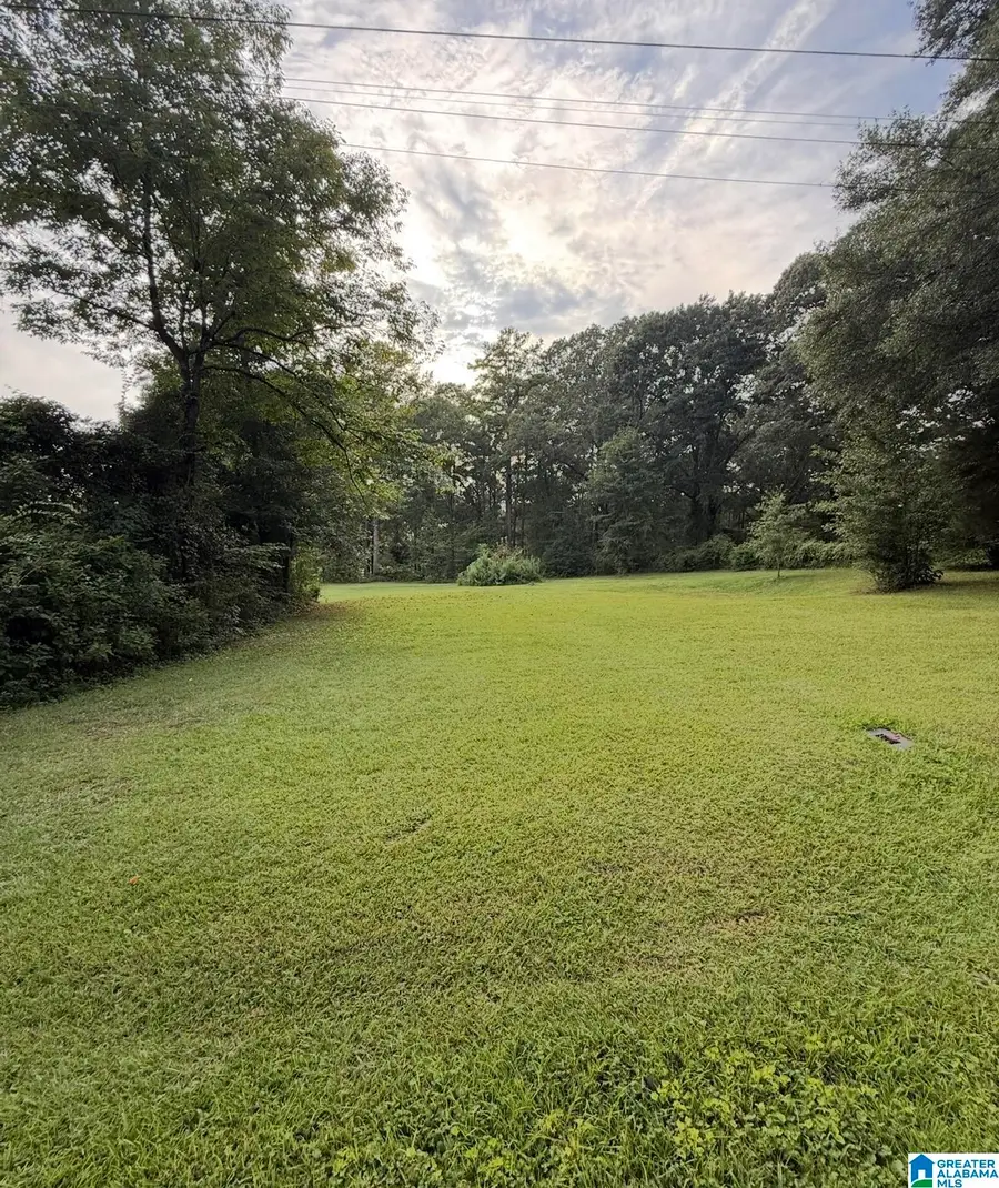 410 RIVER DRIVE, Wilsonville, AL 35186 - #3