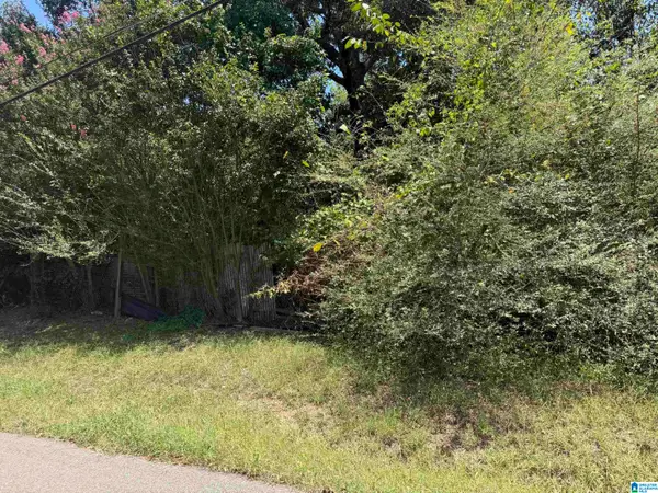 1079 TALLEY AVENUE, Birmingham, AL 35217