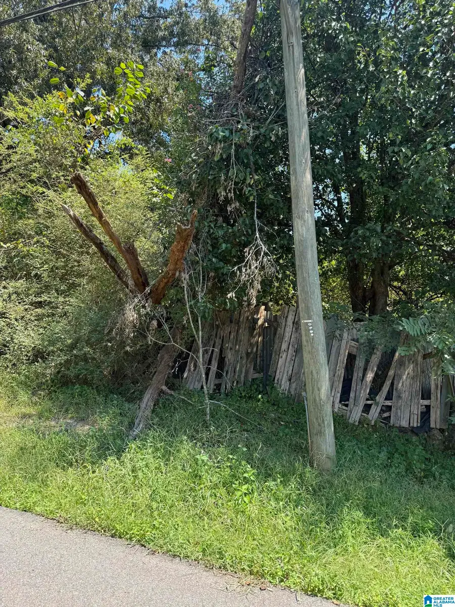 1079 TALLEY AVENUE, Birmingham, AL 35217 - #2