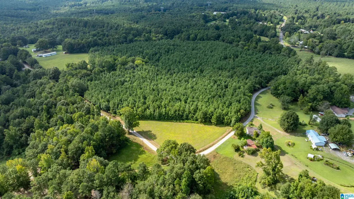 0 COUNTY ROAD 39, Hanceville, AL 35077 - #1