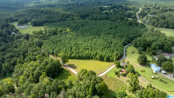 0 COUNTY ROAD 39, Hanceville, AL 35077