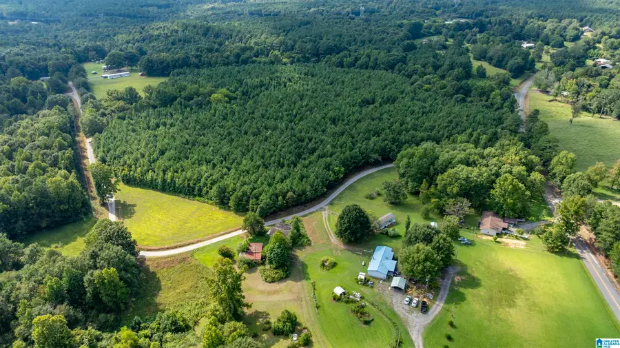 0 COUNTY ROAD 39, Hanceville, AL 35077 - #2