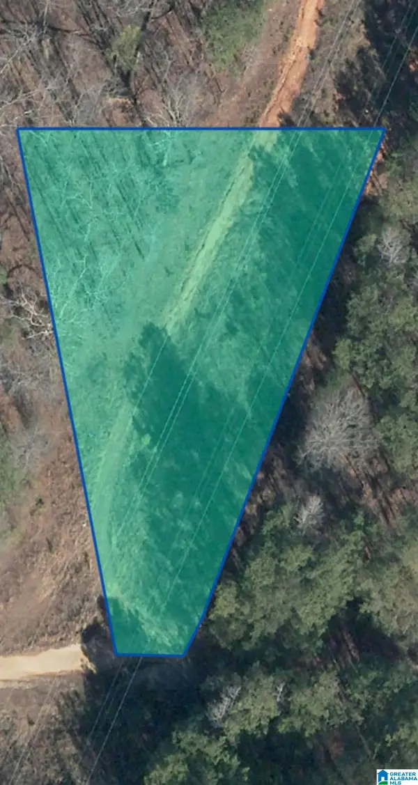TWIN PINES DRIVE, Alpine, AL 35014