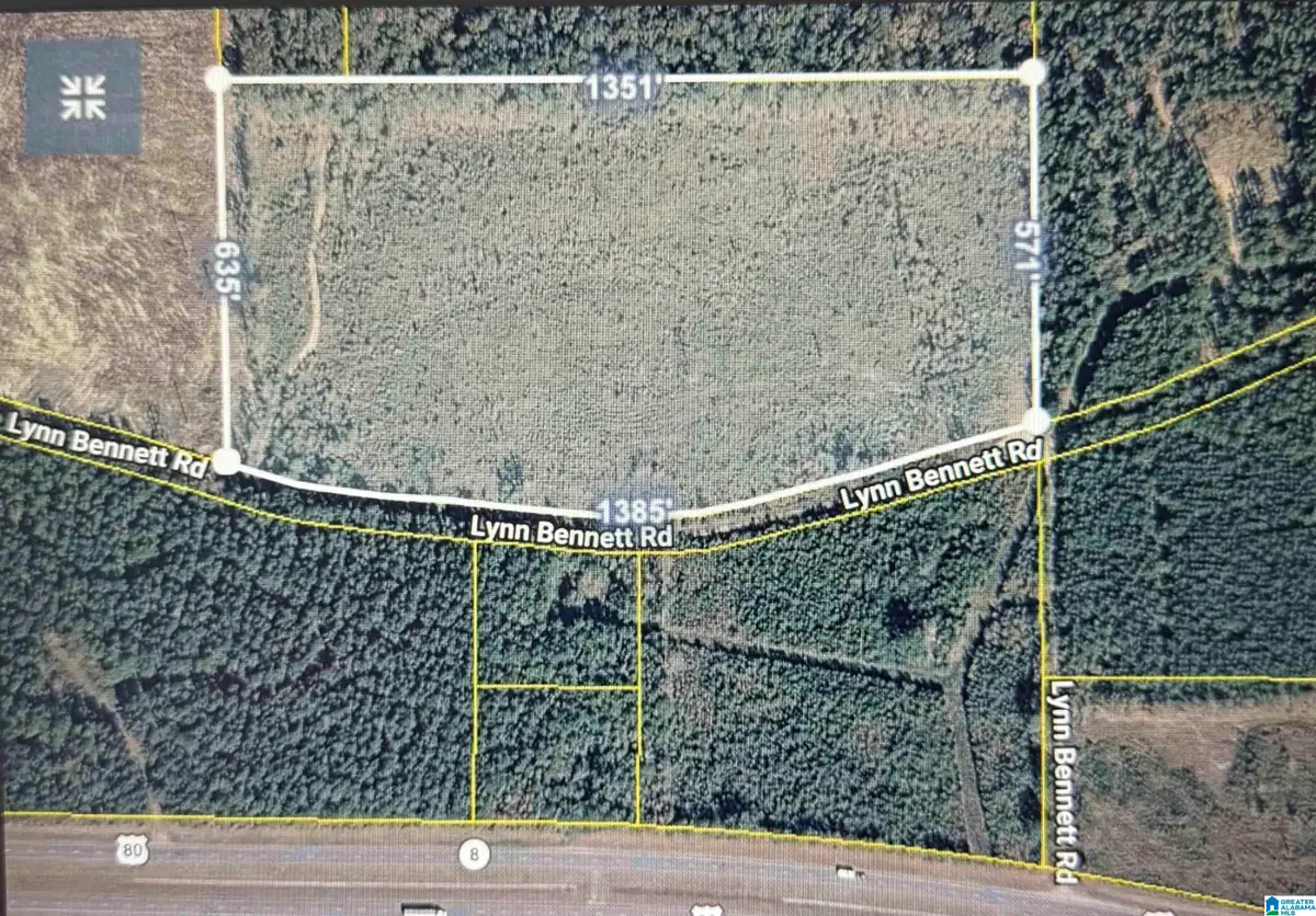 LYNN BENNETT ROAD, York, AL 36925 - #1