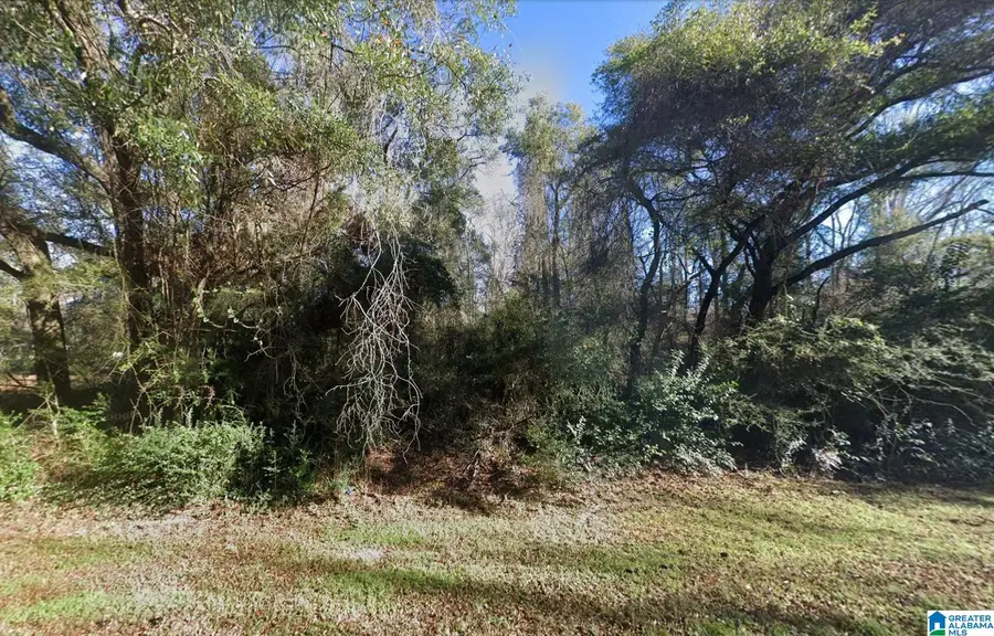 1106 LOWER KINGSTON ROAD, Prattville, AL 36067 - #2