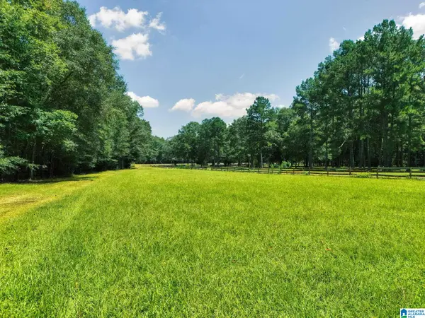 64291 HIGHWAY 39, Chelsea, AL 35043