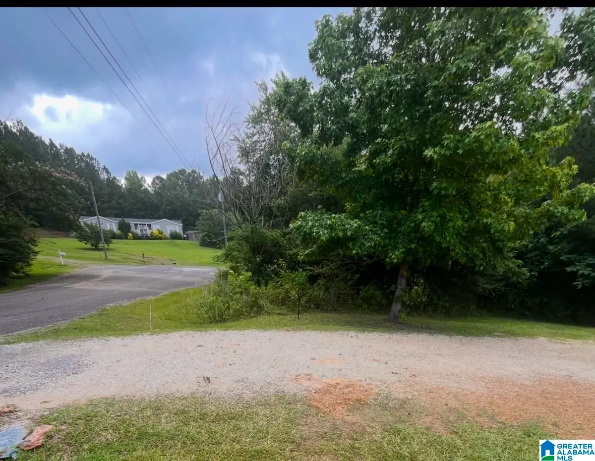 Lot 17A OLD FOREST DRIVE, Odenville, AL 35120 - #1