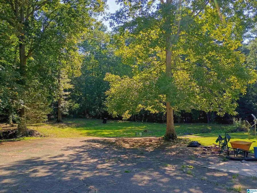 428 COUNTY ROAD 201, Delta, AL 36258 - #2