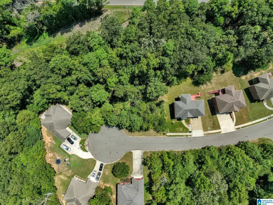 209 MELBOURNE CIRCLE, Bessemer, AL 35022 - #2