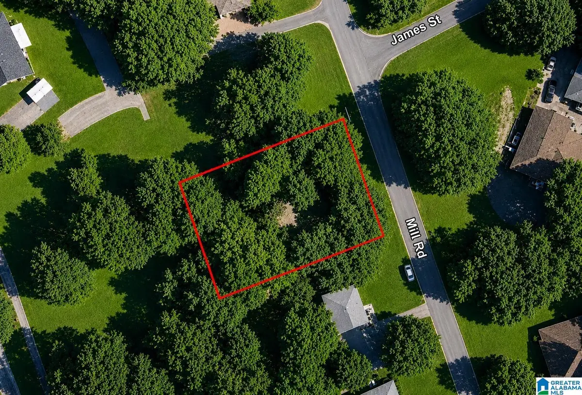 161 MILL ROAD, Springville, AL 35146 - #1