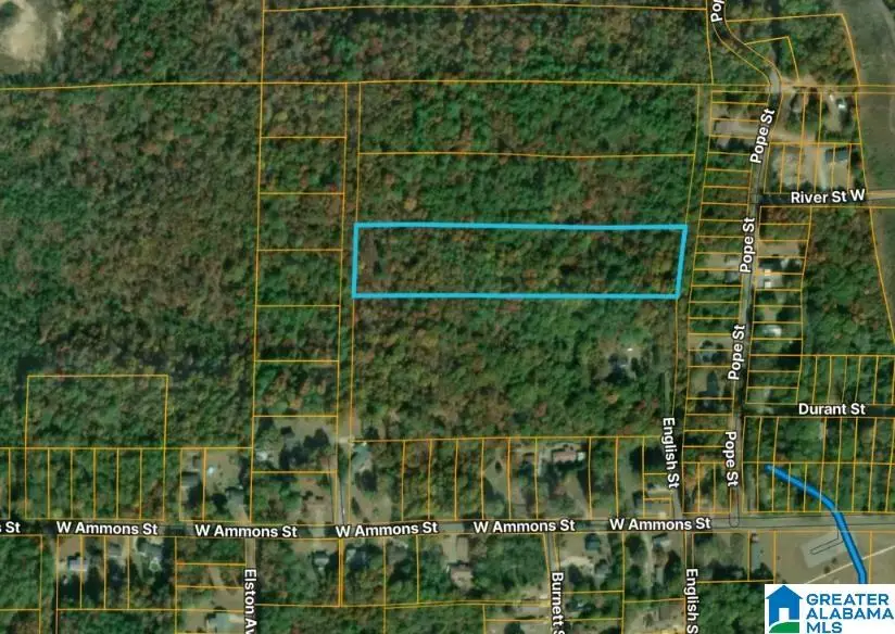 0 ENGLISH STREET, Anniston, AL 36201 - #3