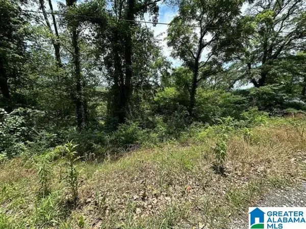 2231 43RD AVENUE N, Birmingham, AL 35207