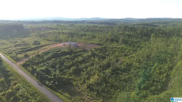 Parcel #7 CENTER HILL ROAD, Delta, AL 36258