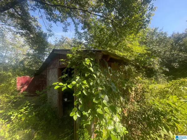 507 COUNTY ROAD, Centre, AL 35960