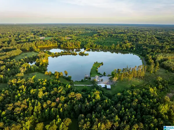 321 COUNTY ROAD 22, Livingston, AL 35470