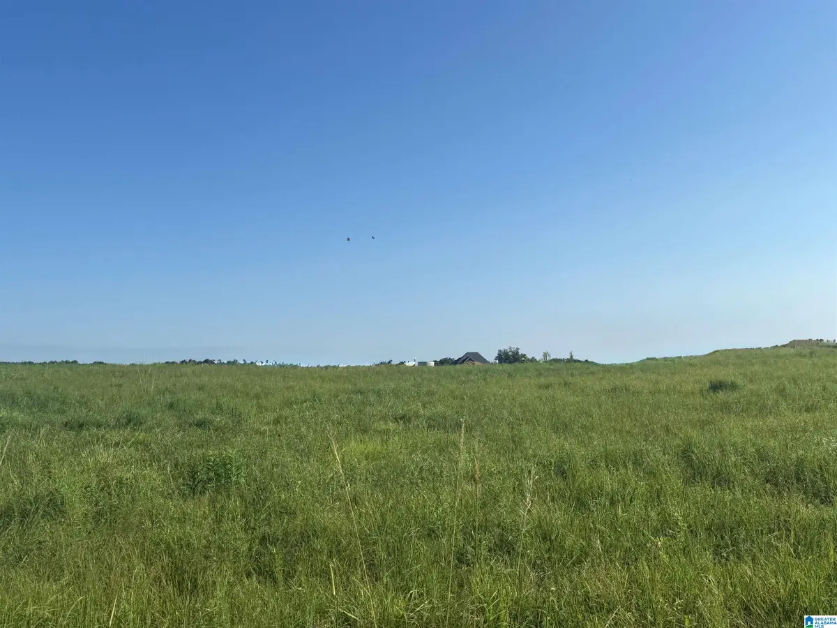 Lot 32 COUNTY ROAD 1464, Cullman, AL 35058 - #1