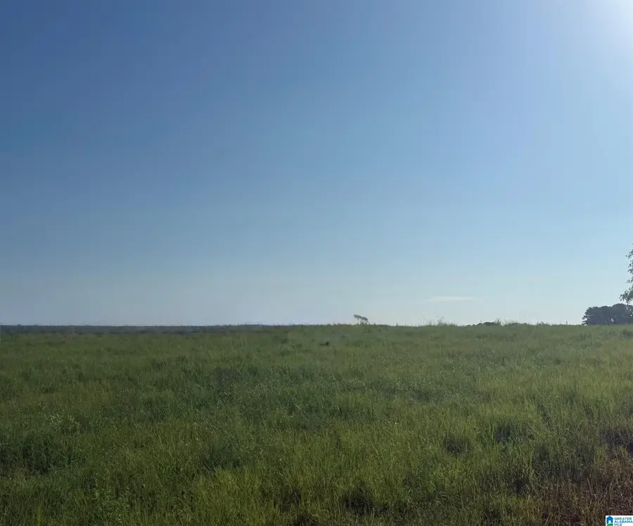Lot 32 COUNTY ROAD 1464, Cullman, AL 35058 - #2
