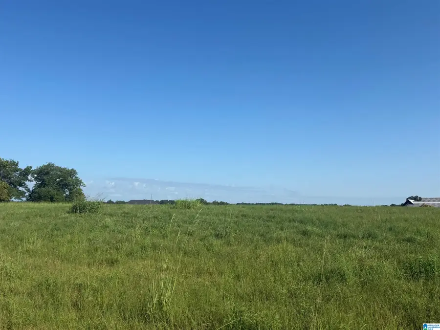 Lot 32 COUNTY ROAD 1464, Cullman, AL 35058 - #3