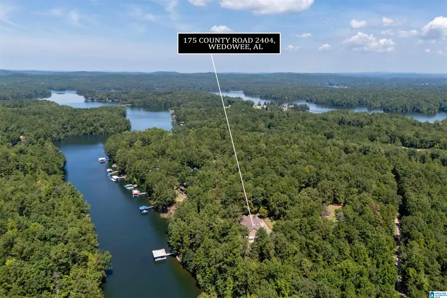 175 COUNTY ROAD 2404, Wedowee, AL 36278 - #2