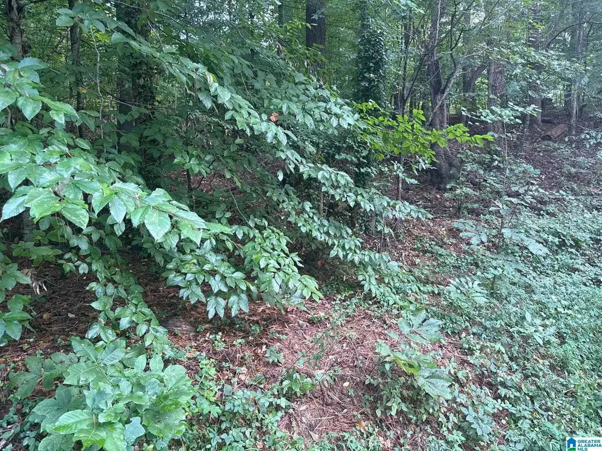 3661 PAVER DRIVE, Tuscaloosa, AL 35405 - #1