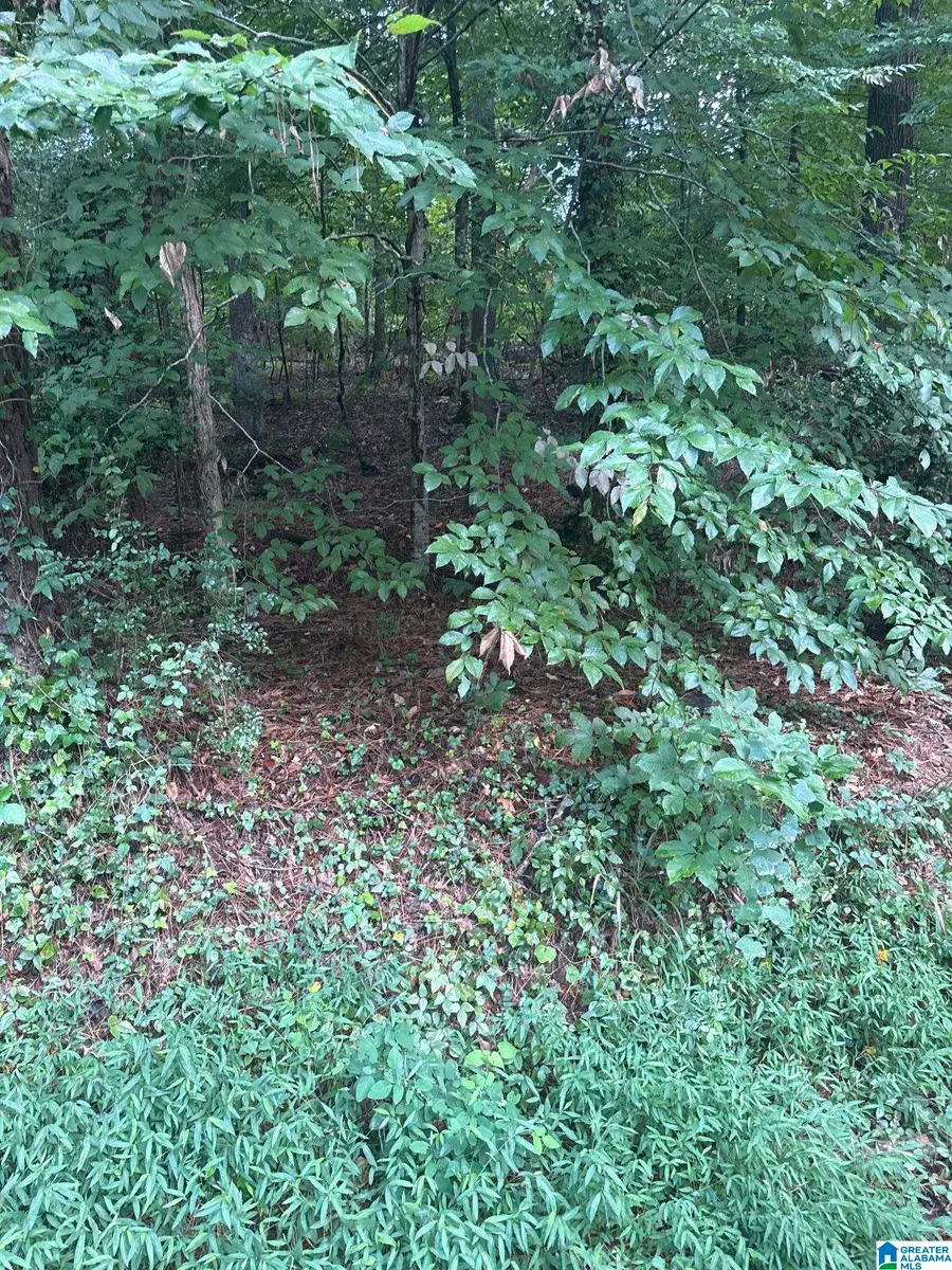 3661 PAVER DRIVE, Tuscaloosa, AL 35405 - #2