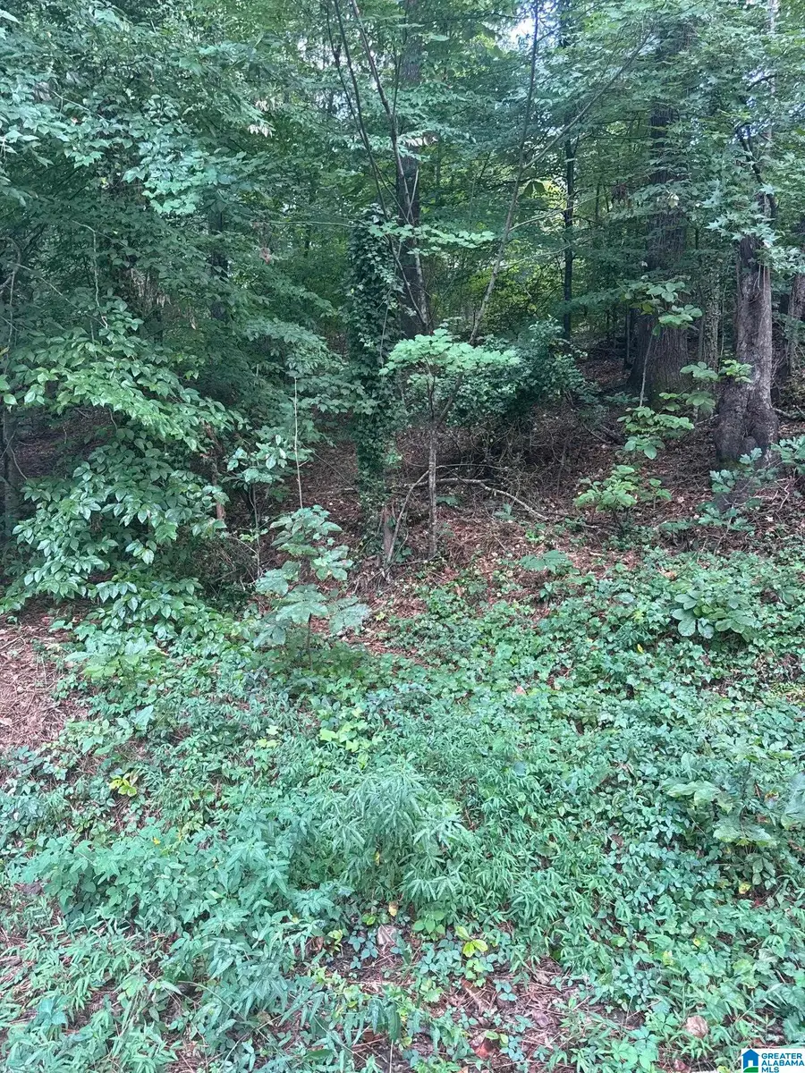 3661 PAVER DRIVE, Tuscaloosa, AL 35405 - #3