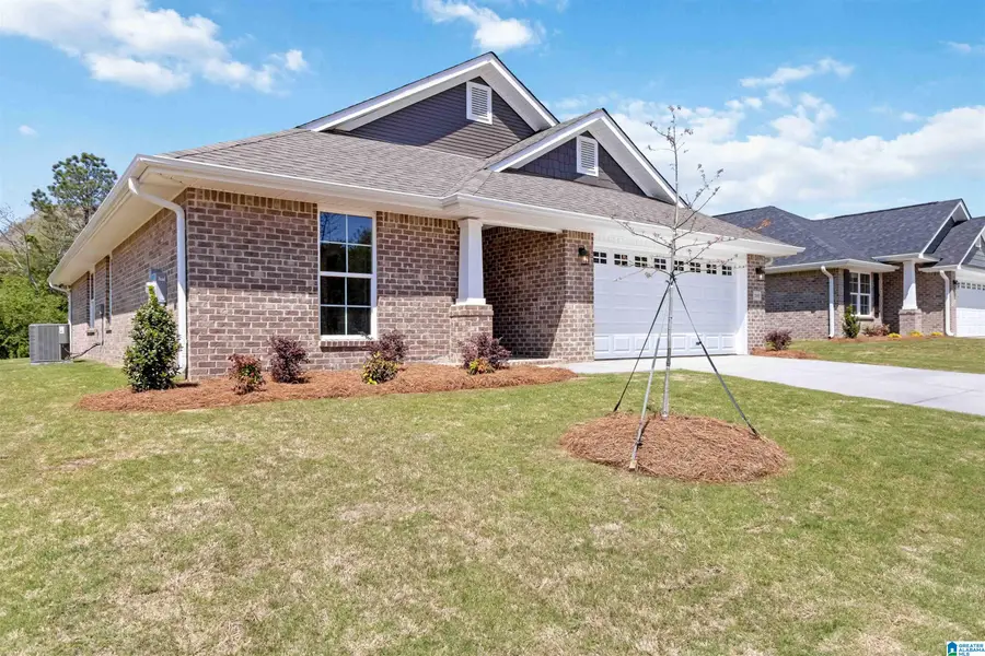 289 AMMERSEE LAKES DRIVE, Montevallo, AL 35115 - #3