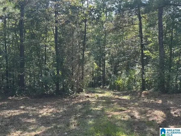 1550 MCKESIE STREET, Riverside, AL 35135