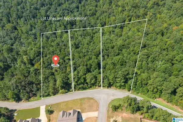 5534 CARRINGTON LAKE PARKWAY, Trussville, AL 35173