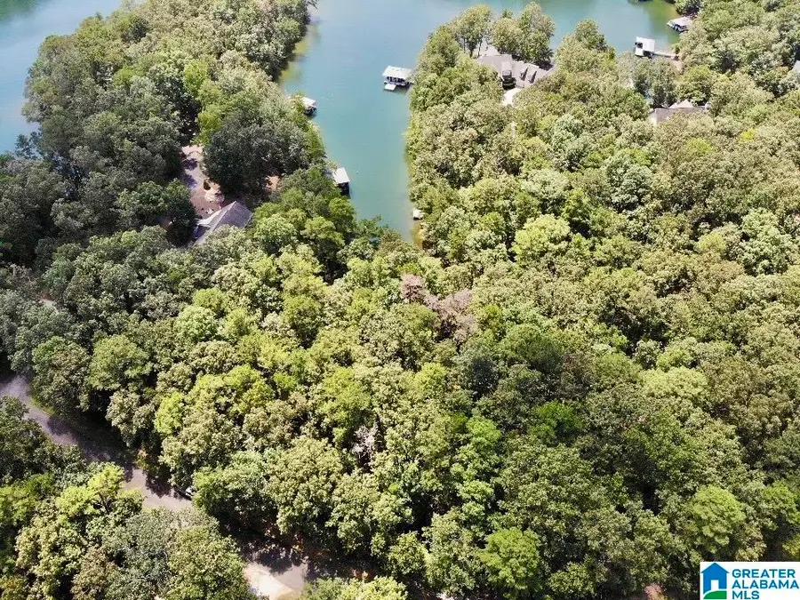 BOBWHITE DRIVE, Wedowee, AL 36278 - #2